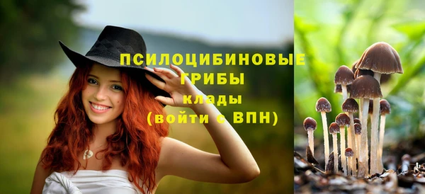 спайс Гусиноозёрск