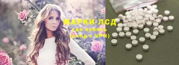 дживик Гусев