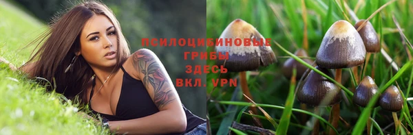дживик Гусев