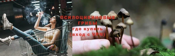 бутират Гусь-Хрустальный