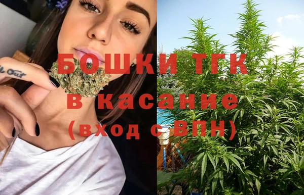 дживик Гусев