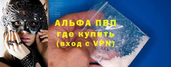 дживик Гусев
