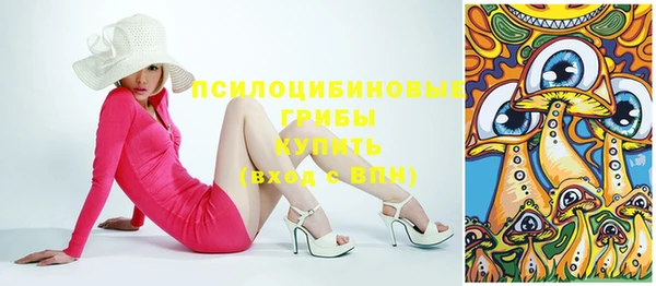 дживик Гусев